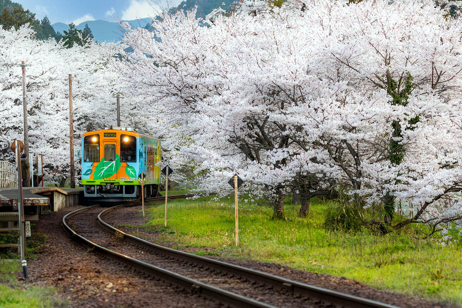 樽見鉄道　谷汲口駅