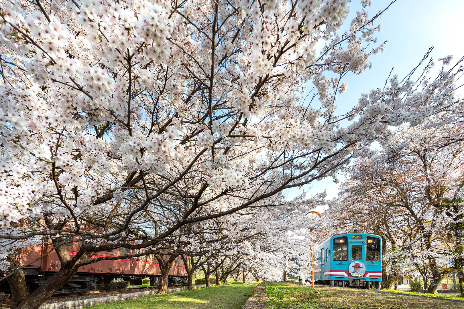 樽見鉄道　谷汲口駅