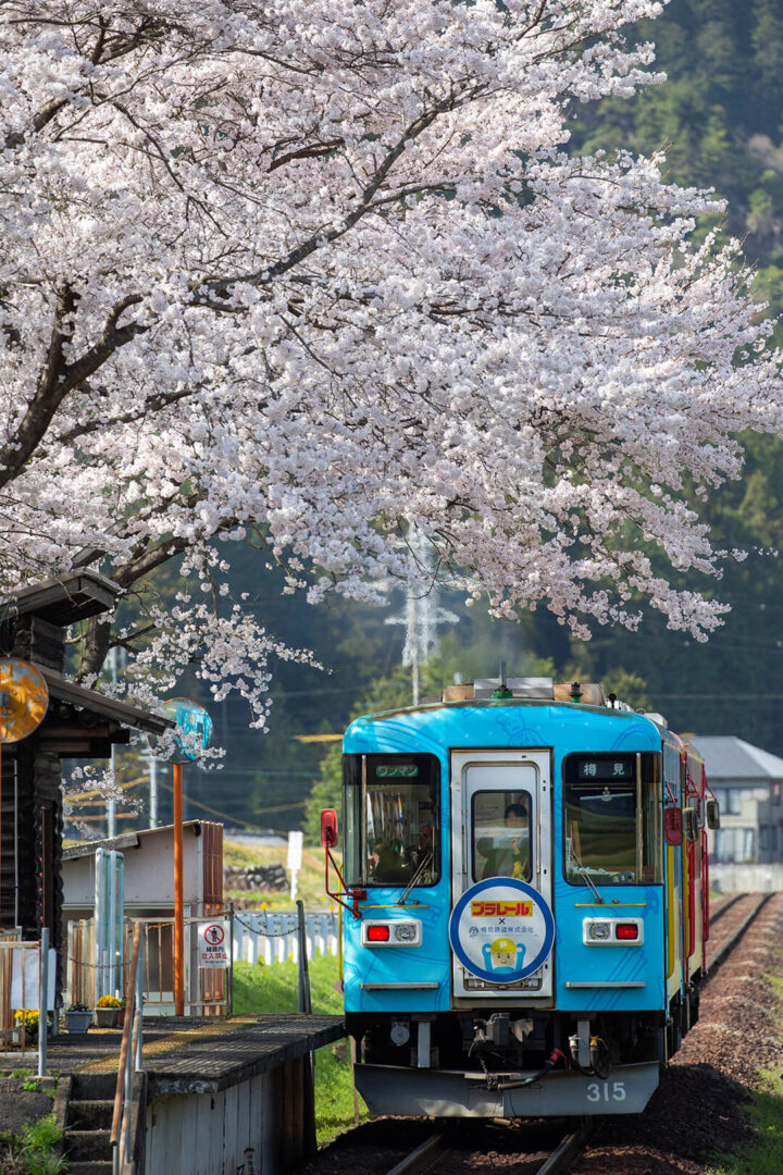 樽見鉄道　高科駅