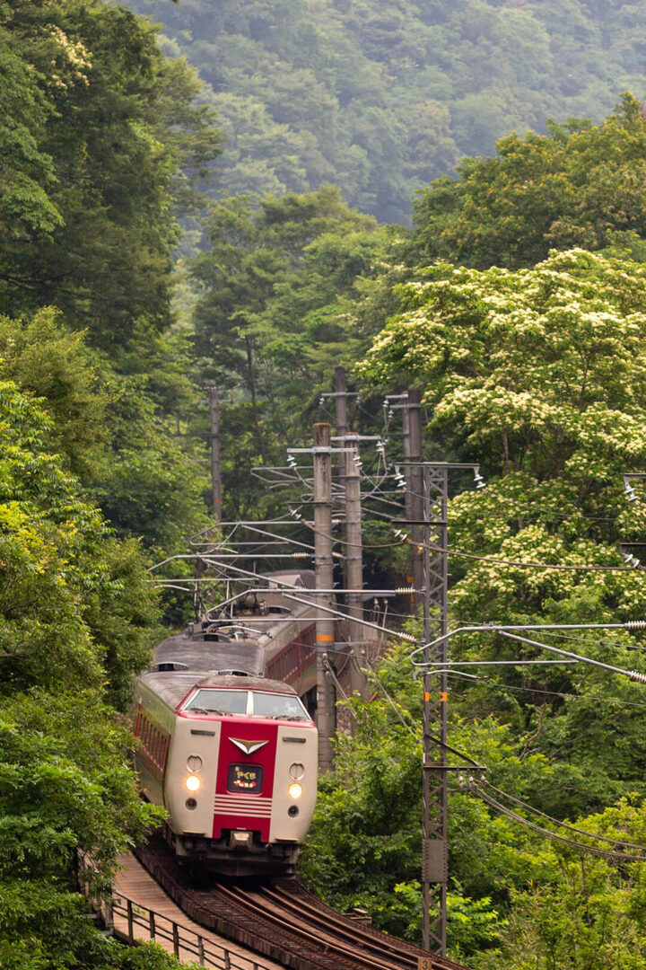 伯備線　やくも　381系