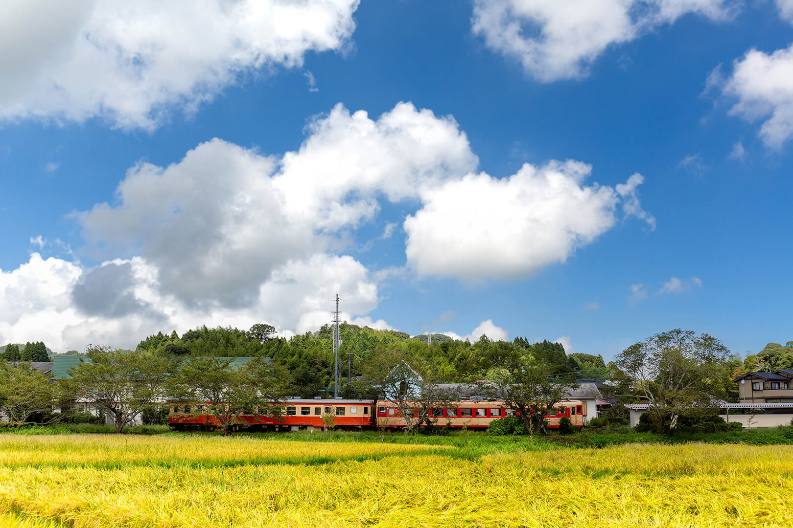 いすみ鉄道　キハ28　キハ52