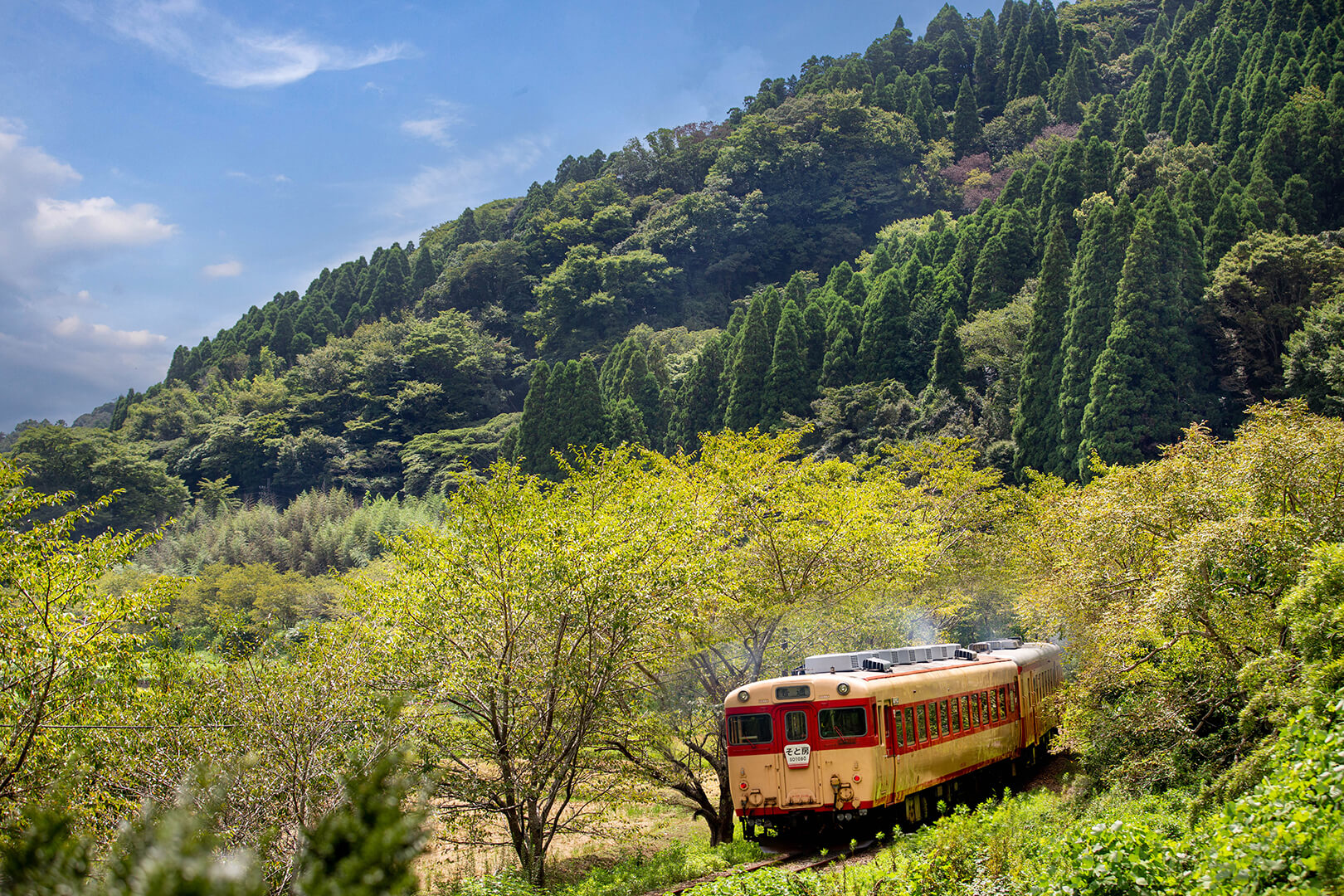 いすみ鉄道　キハ28
