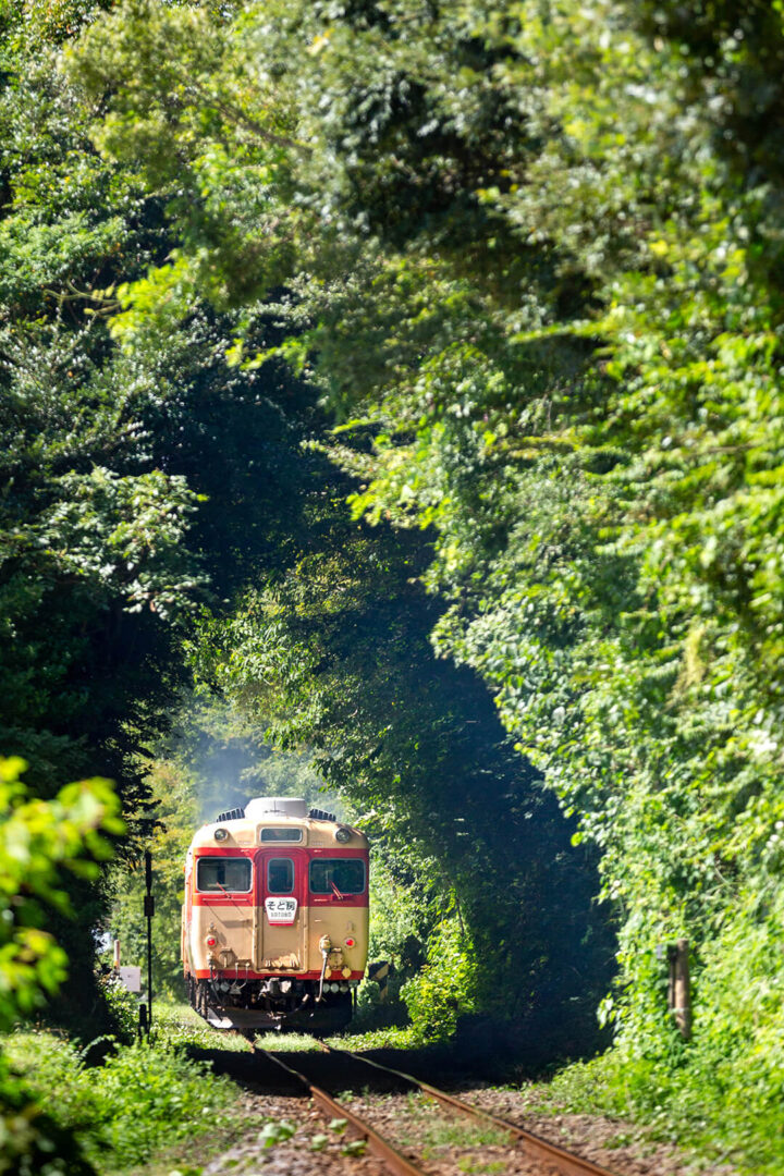 いすみ鉄道　キハ28