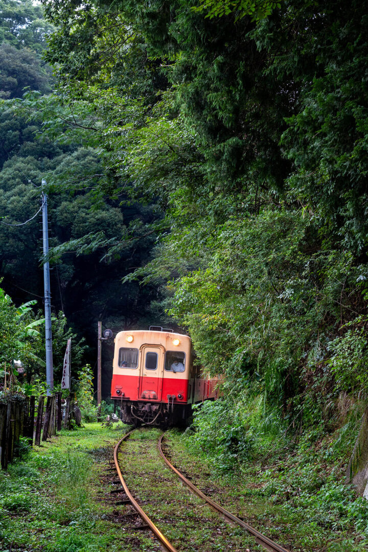 小湊鉄道　キハ200