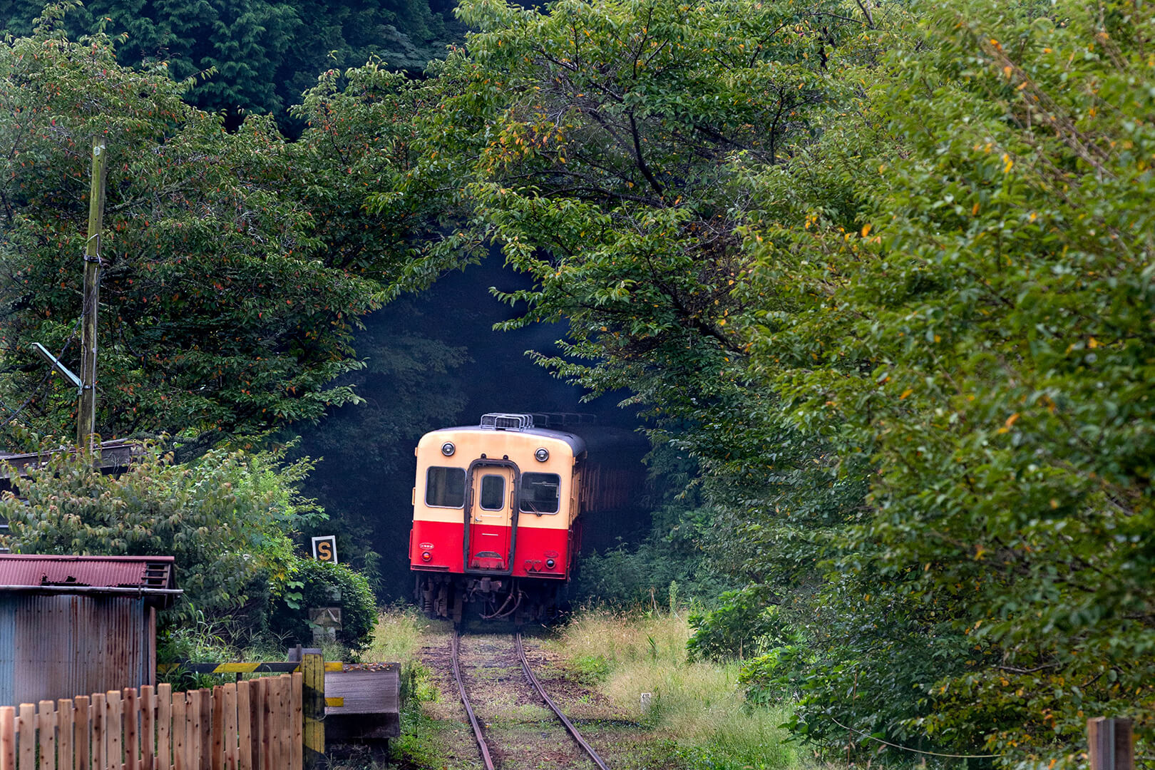 小湊鉄道　キハ200
