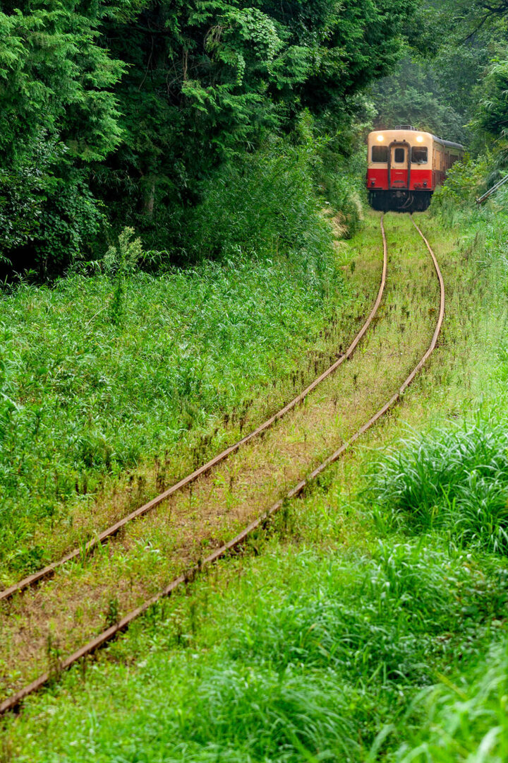 小湊鉄道　キハ200