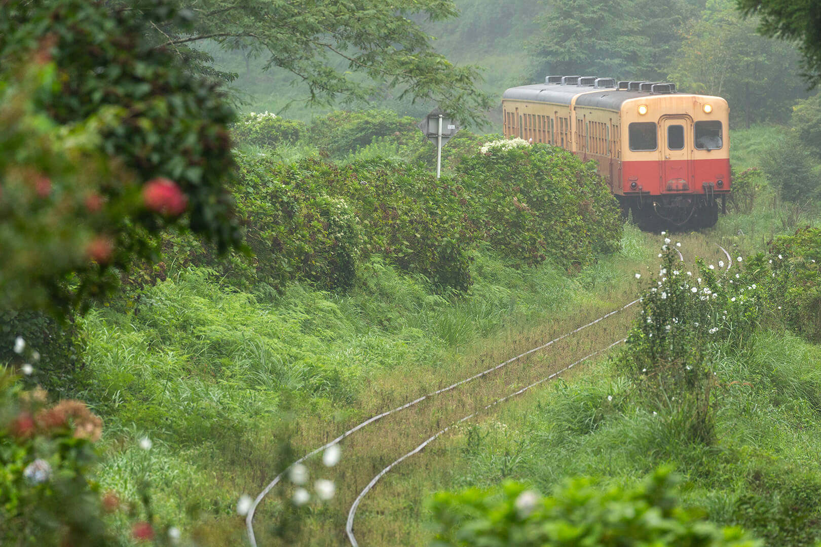 小湊鉄道　キハ200