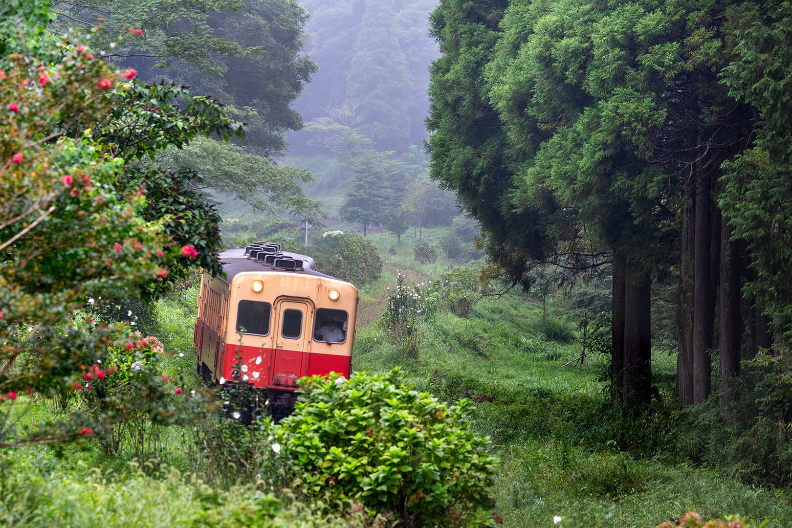小湊鉄道　キハ200