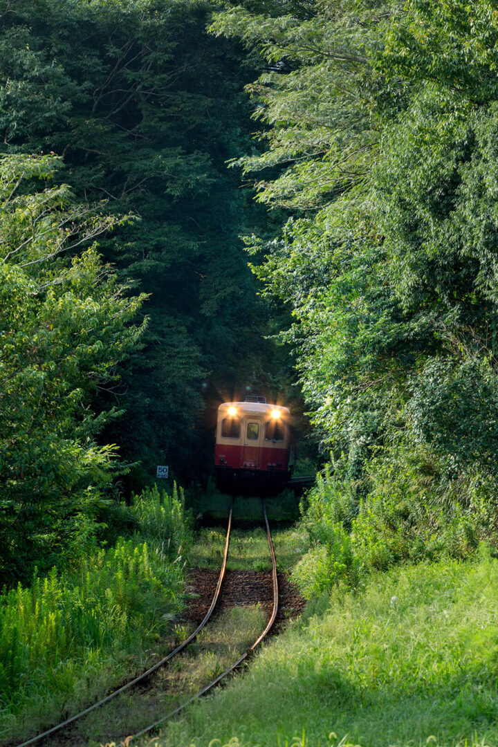 小湊鉄道　キハ200