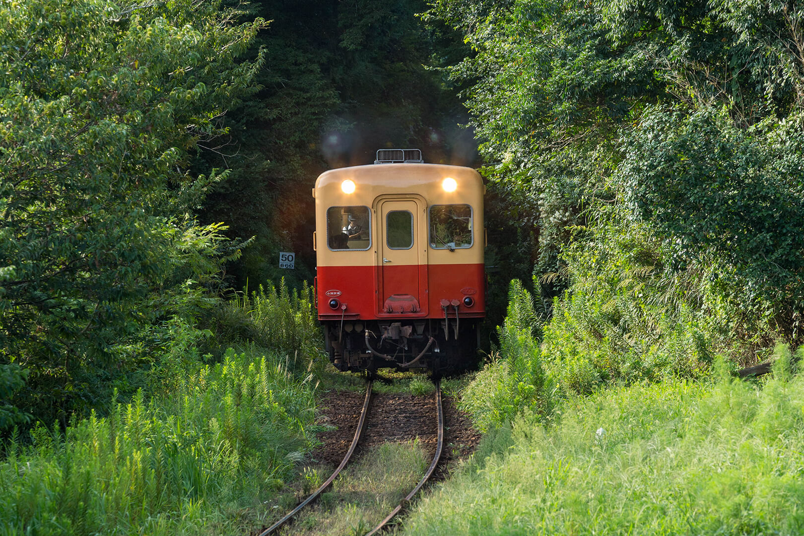 小湊鉄道　キハ200
