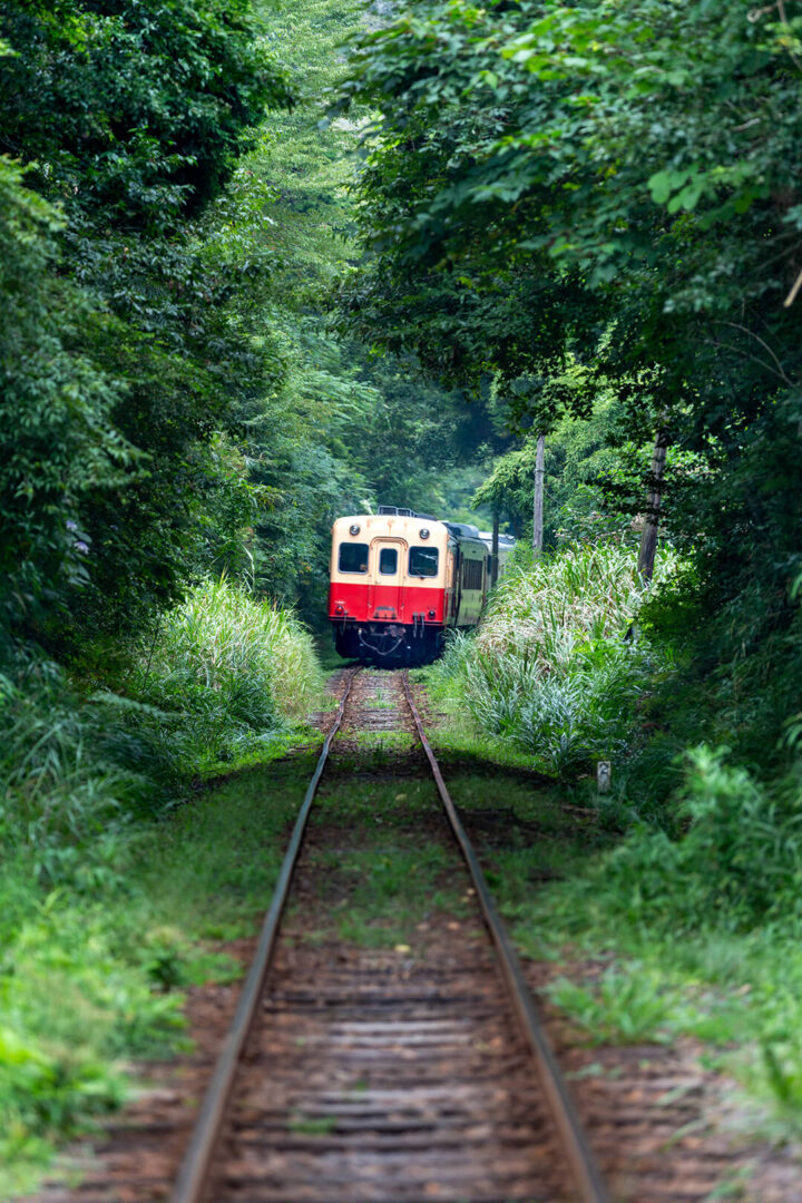 小湊鉄道　キハ200