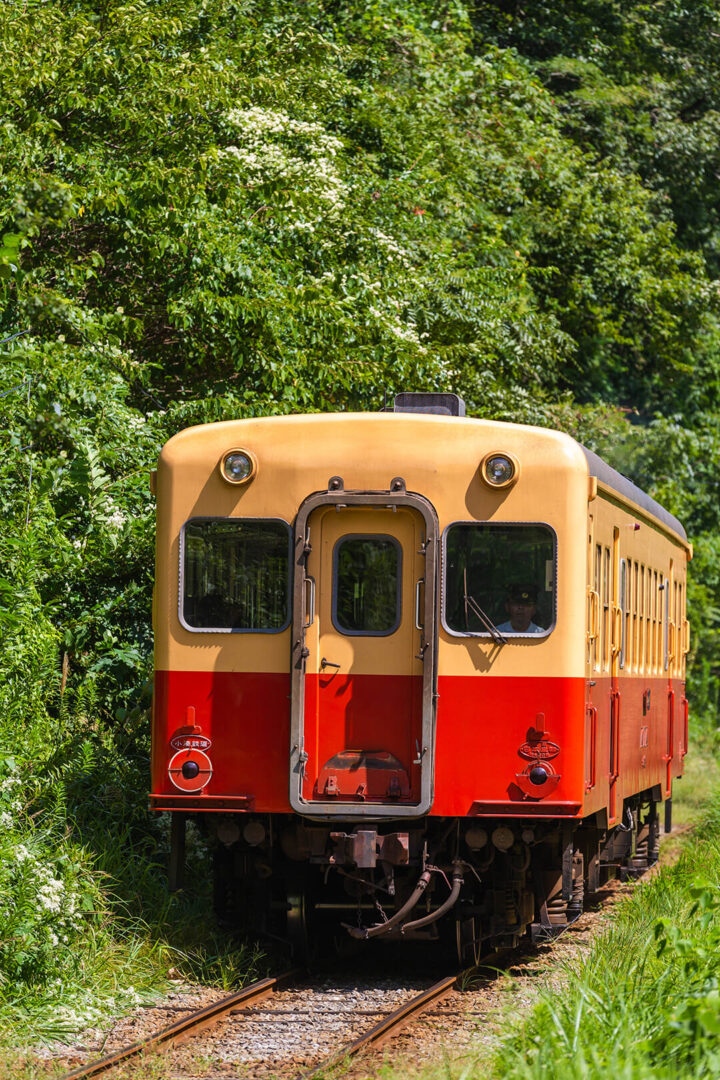 小湊鉄道　キハ200