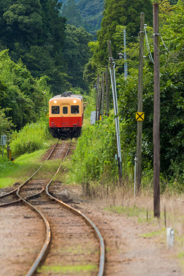 小湊鉄道　キハ200
