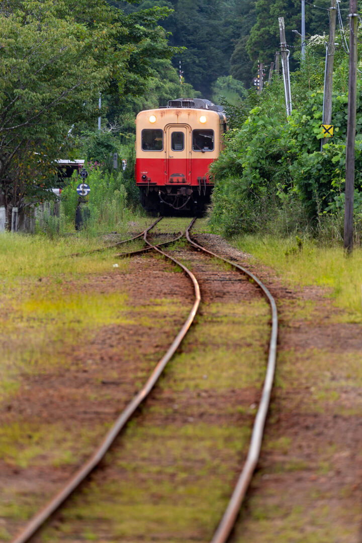 小湊鉄道　キハ200