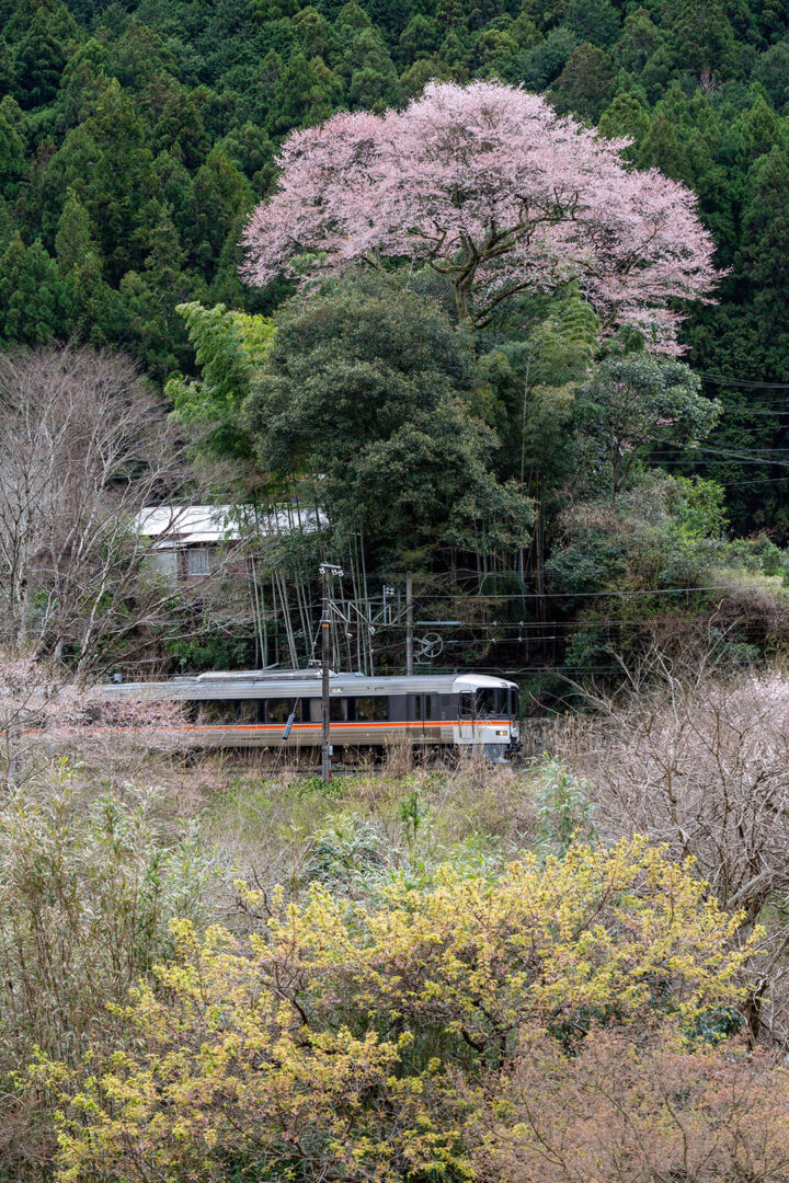 飯田線　キハ８５系
