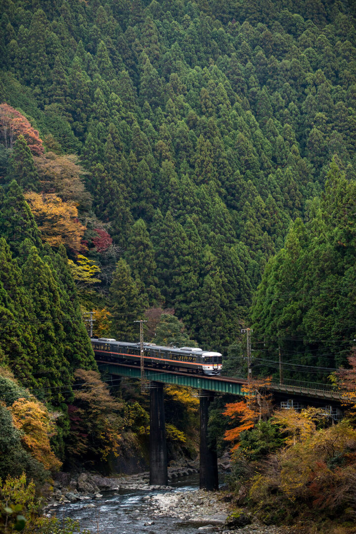 飯田線　キハ８５系