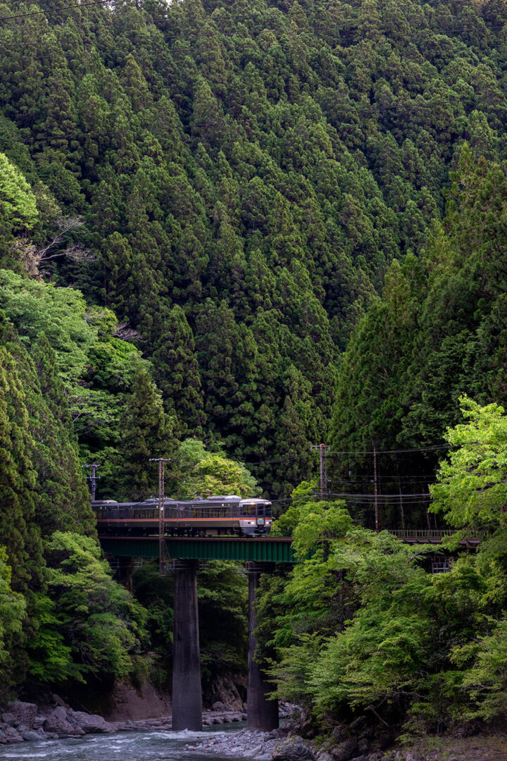 飯田線　キハ８５系