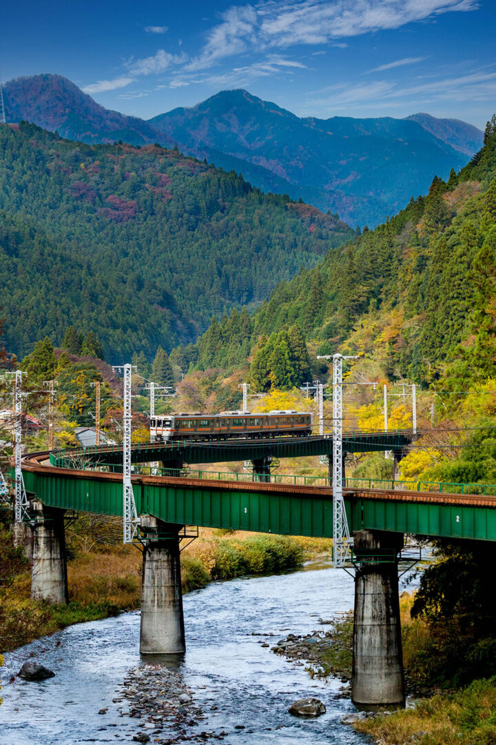 飯田線　渡らずの鉄橋