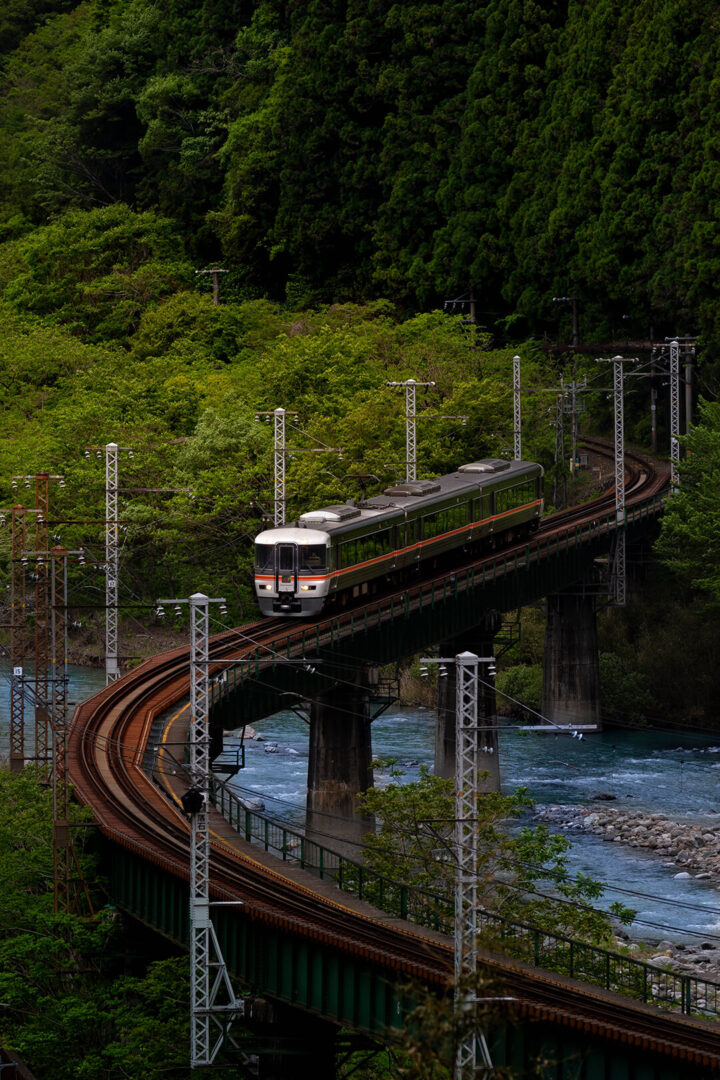 飯田線　キハ８５系　渡らずの鉄橋