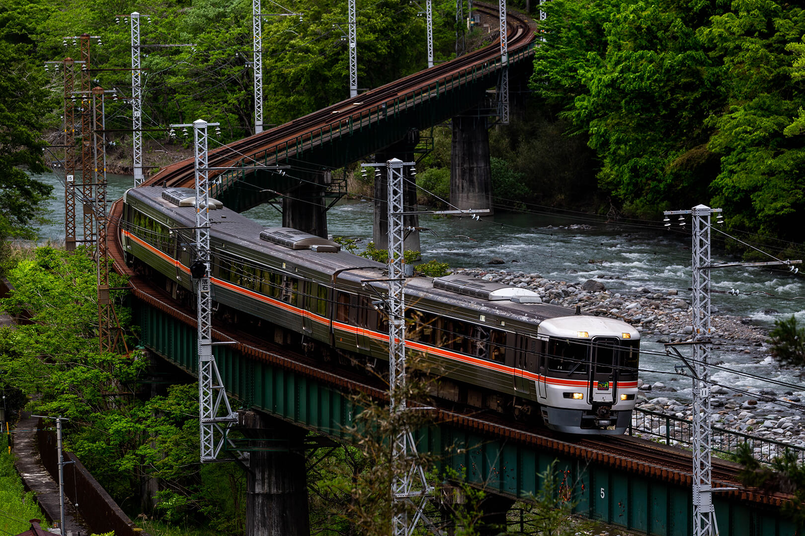 飯田線　キハ８５系　渡らずの鉄橋