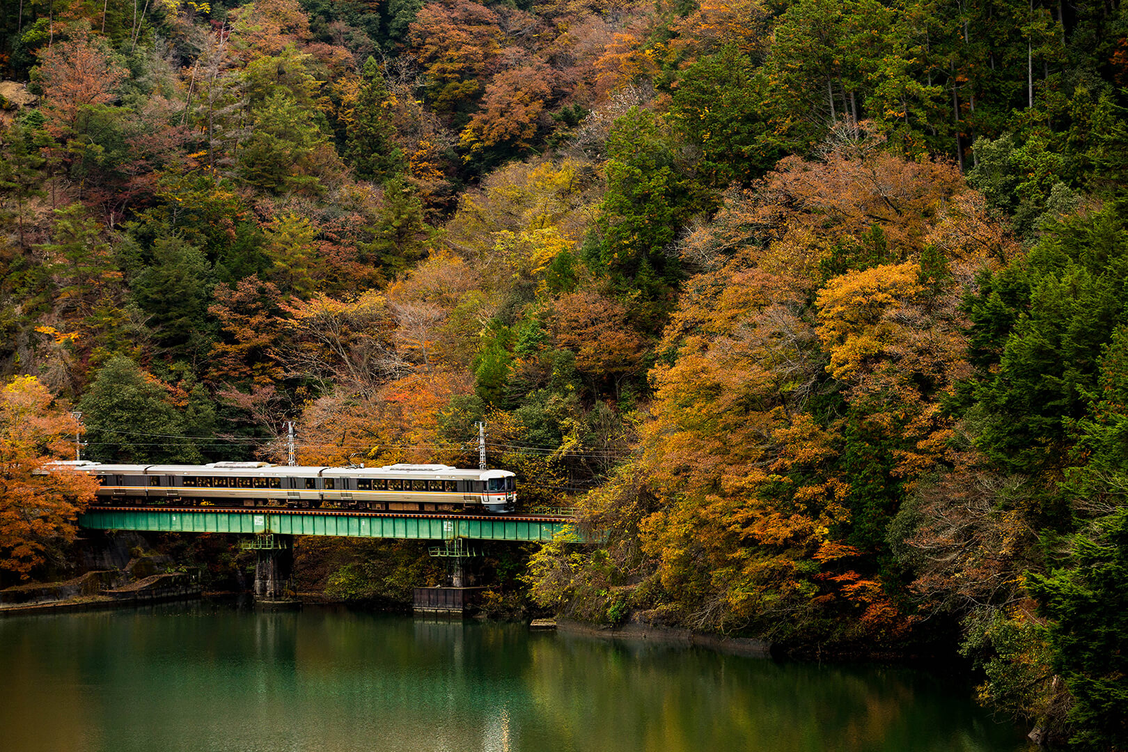 飯田線　キハ８５系