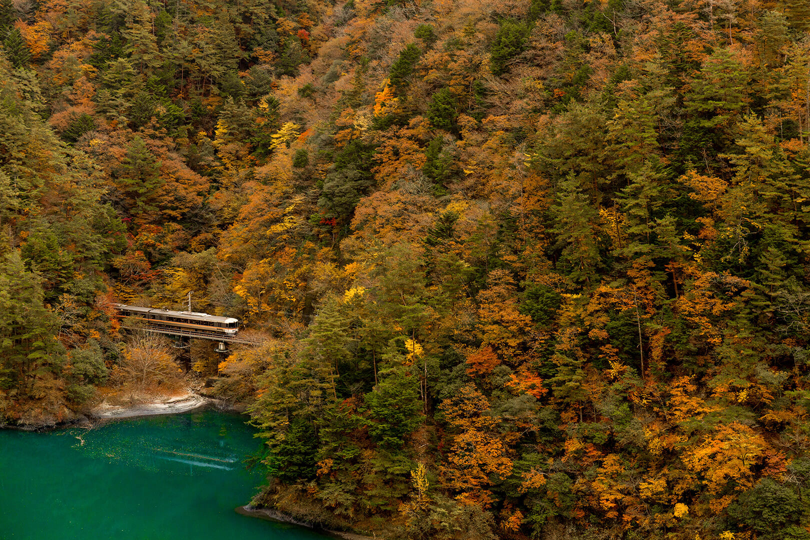飯田線　キハ８５系
