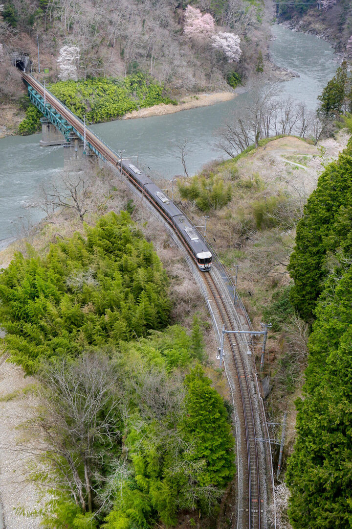 飯田線　キハ８５系