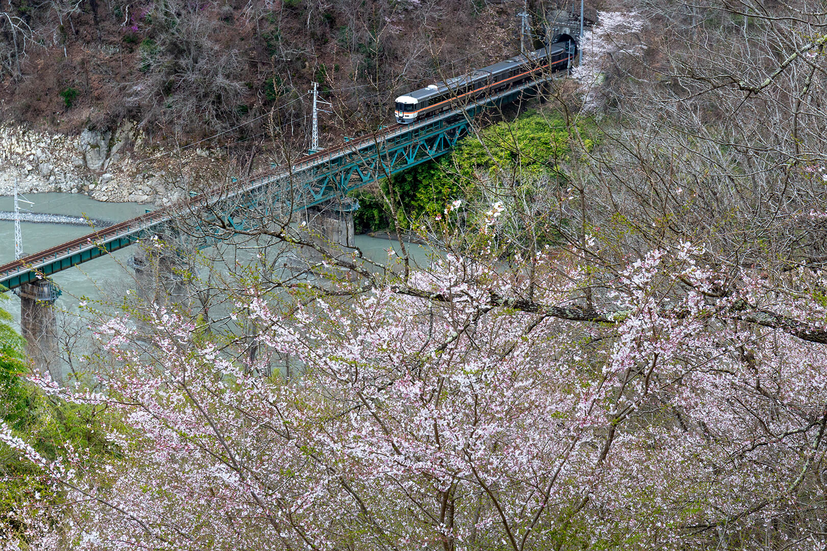 飯田線　キハ８５系