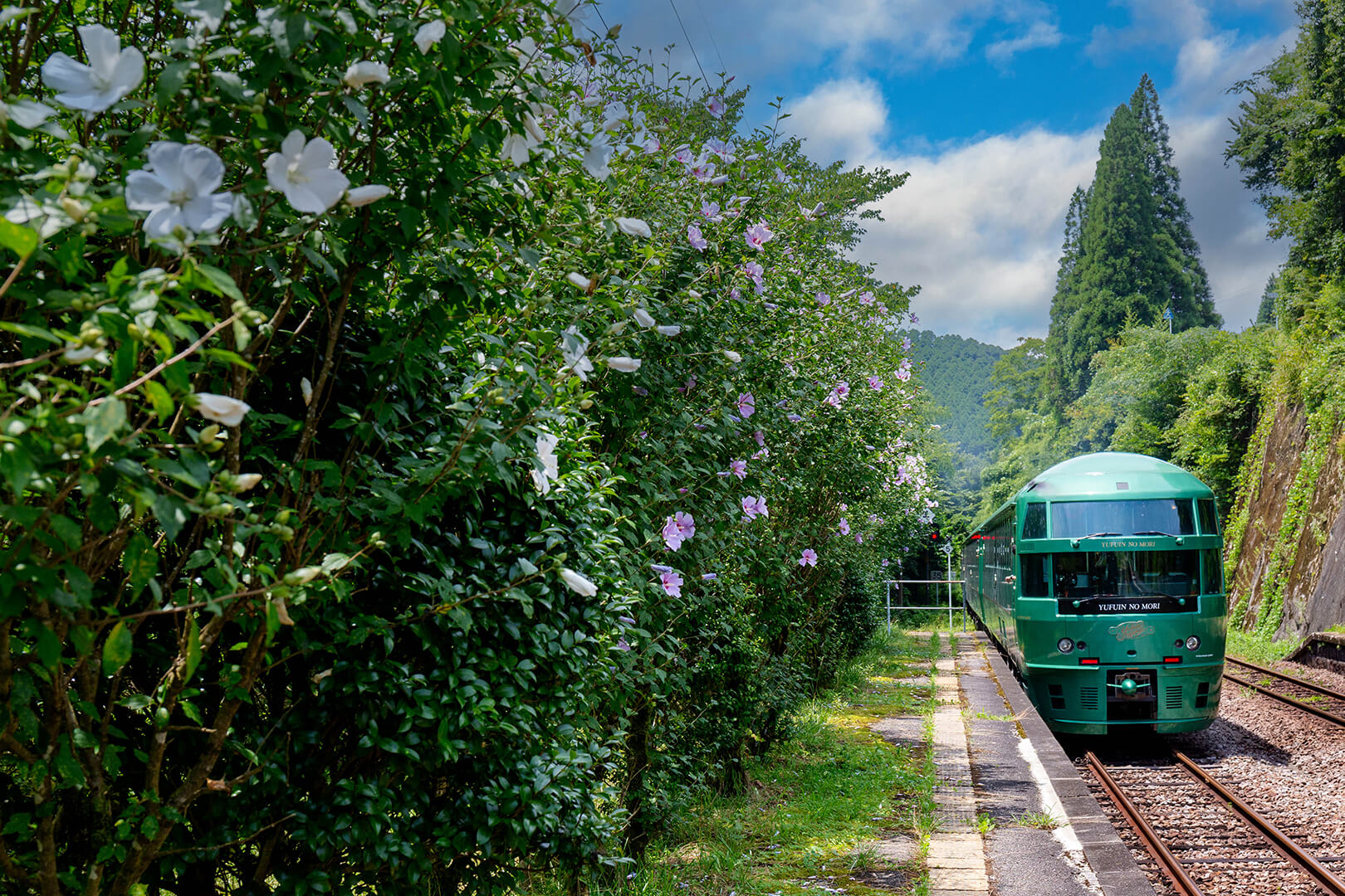 久大本線　ゆふいんの森