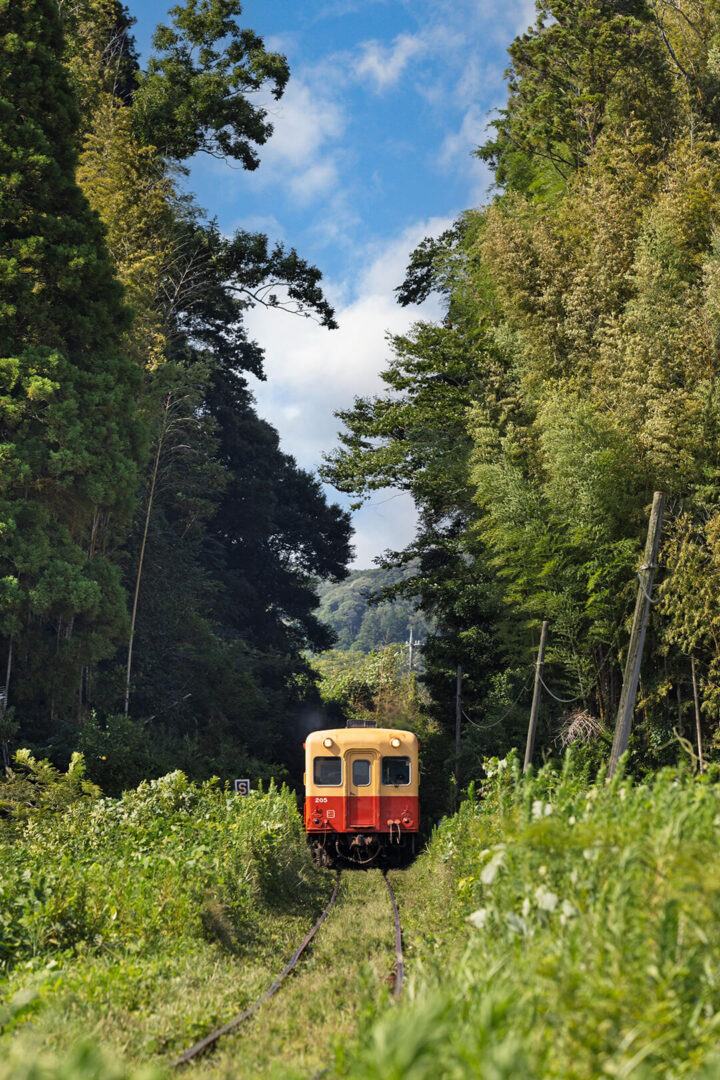 小湊鉄道
